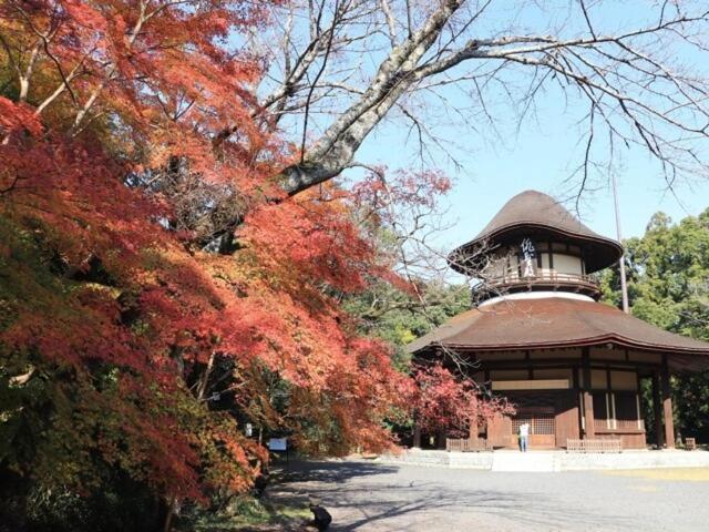 浅草圈4层独栋别墅 免费停车场 近车站 可直达机场 Appartamento *