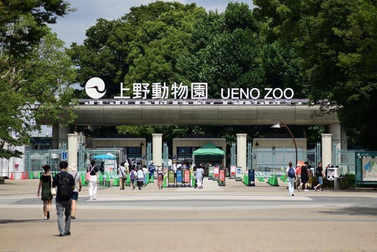 Appartamento 浅草圈4层独栋别墅 免费停车场 近车站 可直达机场 *